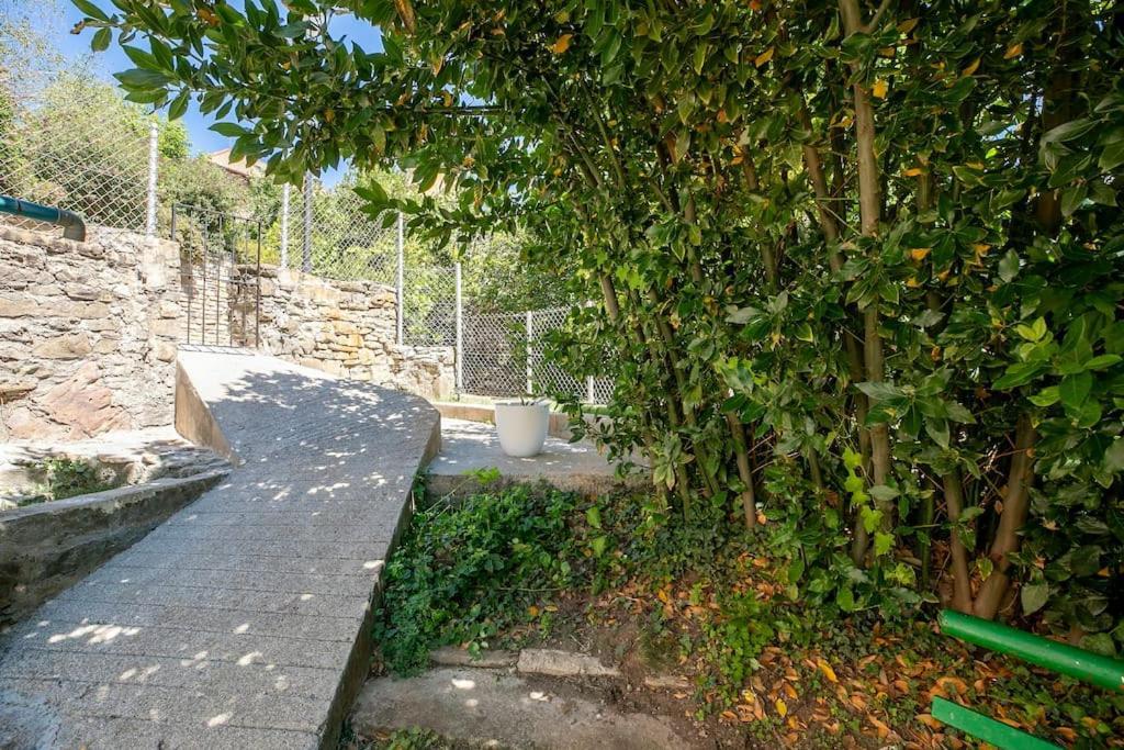 Casa Feli - Apartamento Con Jardin Privado En Los Pirineos Castiello de Jaca Buitenkant foto