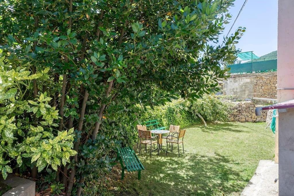 Casa Feli - Apartamento Con Jardin Privado En Los Pirineos Castiello de Jaca Buitenkant foto