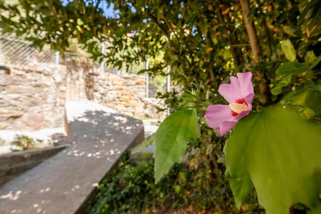 Casa Feli - Apartamento Con Jardin Privado En Los Pirineos Castiello de Jaca Buitenkant foto